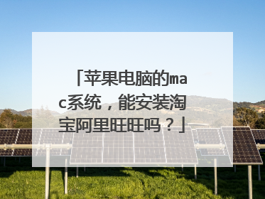 苹果电脑的mac系统,能安装淘宝阿里旺旺吗?
