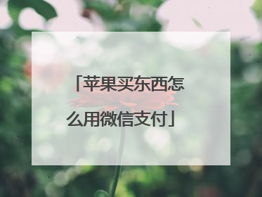 苹果买东西怎么用微信支付