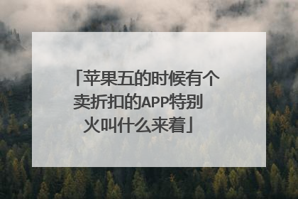 苹果五的时候有个卖折扣的APP特别火叫什么来着