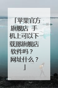 苹果官方旗舰店 手机上可以下载那旗舰店软件吗? 网址什么?