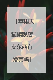 苹果天猫旗舰店卖东西有发票吗