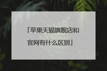 苹果天猫旗舰店和官网有什么区别