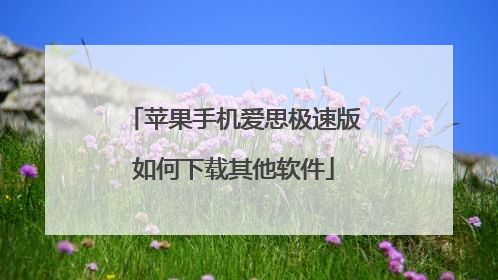 苹果手机爱思极速版如何下载其他软件