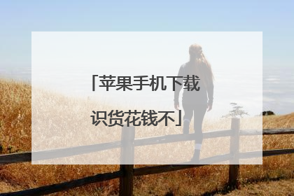 苹果手机下载识货花钱不