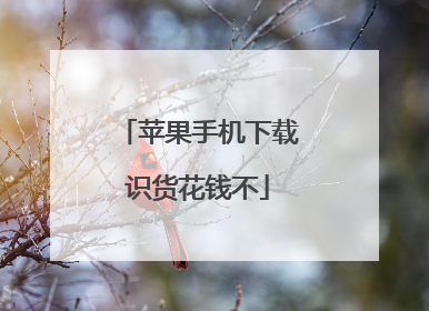 苹果手机下载识货花钱不