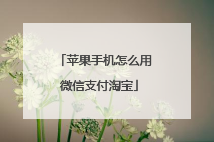 苹果手机怎么用微信支付淘宝