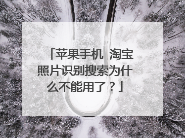 苹果手机 淘宝照片识别搜索为什么不能用了？