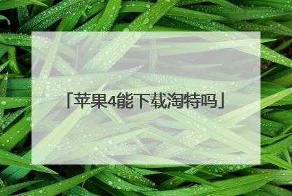 苹果4能下载淘特吗