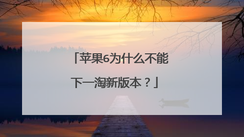苹果6为什么不能下一淘新版本?