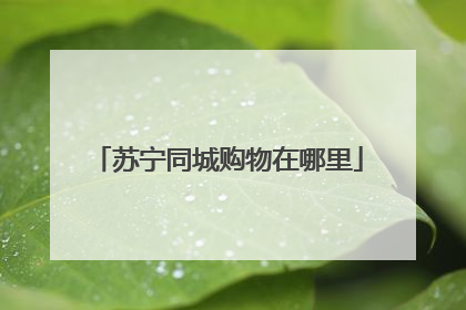 苏宁同城购物在哪里