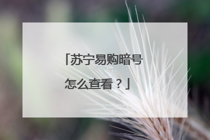 苏宁易购暗号怎么查看?