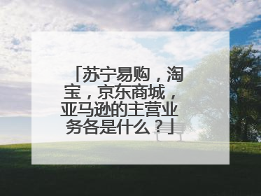 苏宁易购,淘宝,京东商城,亚马逊的主营业务各是什么?