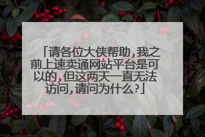 请各位大侠帮助,我之前上速卖通网站平台是可以的,但这两天一直无法访问,请问为什么?