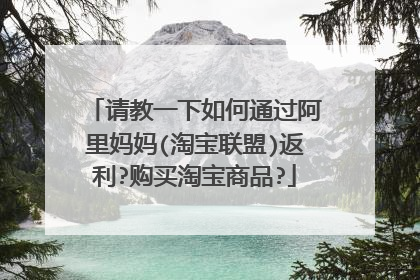 请教一下如何通过阿里妈妈(淘宝联盟)返利?购买淘宝商品?