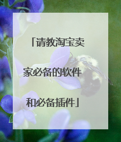 请教淘宝卖家必备的软件和必备插件