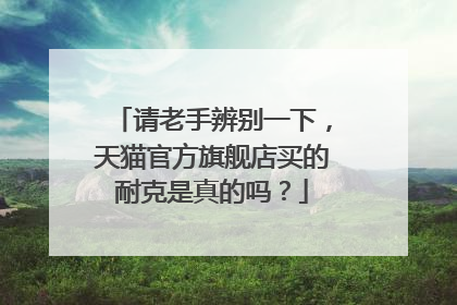 请老手辨别一下,天猫官方旗舰店买的耐克是真的吗?