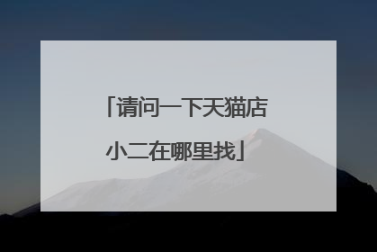 请问一下天猫店小二在哪里找