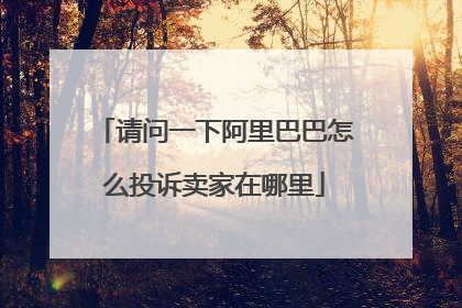 请问一下阿里巴巴怎么投诉卖家在哪里