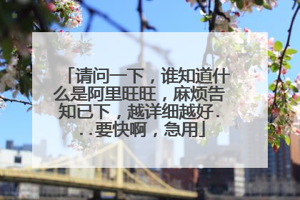 请问一下,谁知道什么是阿里旺旺,麻烦告知已下,越详细越好...要快啊,急用