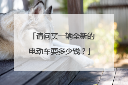 请问买一辆全新的电动车要多少钱?