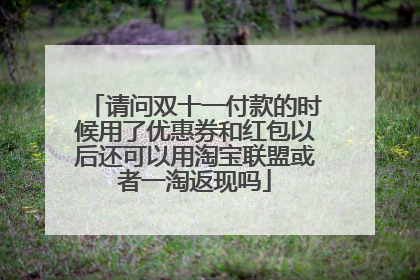 请问双十一付款的时候用了优惠券和红包以后还可以用淘宝联盟或者一淘返现吗
