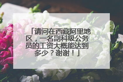 请问在西藏阿里地区,一名副科级公务员的工资大概能达到多少?谢谢!