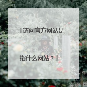 请问官方网站是指什么网站？