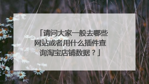 请问大家一般去哪些网站或者用什么插件查询淘宝店铺数据?