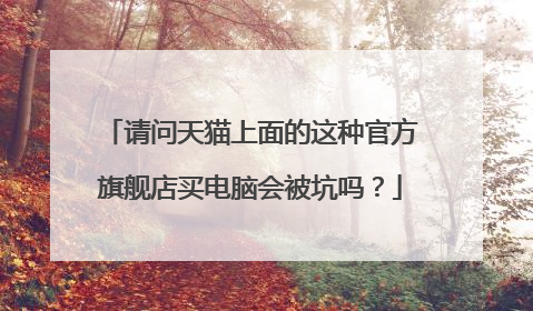 请问天猫上面的这种官方旗舰店买电脑会被坑吗?