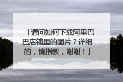 请问如何下载阿里巴巴店铺里的图片?详细的,请指教,谢谢!