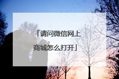 请问微信网上商城怎么打开