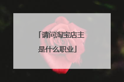 请问淘宝店主是什么职业