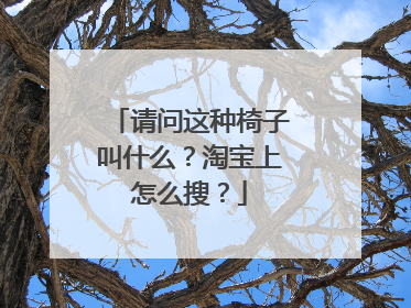 请问这种椅子叫什么?淘宝上怎么搜?