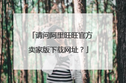 请问阿里旺旺官方卖家版下载网址？