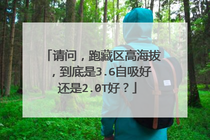 请问,跑藏区高海拔,到底是3.6自吸好还是2.0T好?