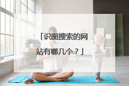 识图搜索的网站有哪几个?