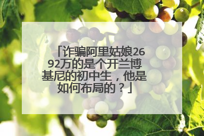 诈骗阿里姑娘2692万的是个开兰博基尼的初中生,他是如何布局的?