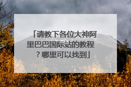 请教下各位大神阿里巴巴国际站的教程?哪里可以找到