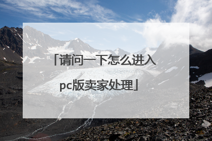 请问一下怎么进入pc版卖家处理