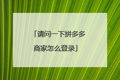 拼多多商家版登录(拼多多在线官网进入)