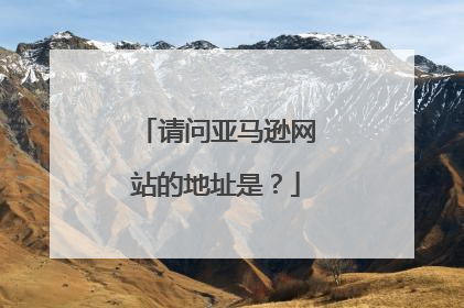 请问亚马逊网站的地址是?