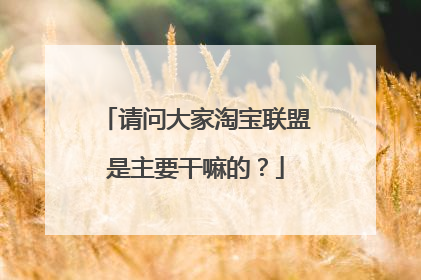 请问大家淘宝联盟是主要干嘛的?
