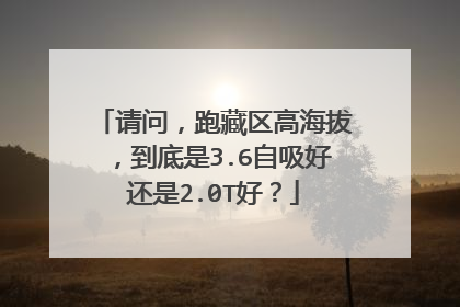 请问，跑藏区高海拔，到底是3.6自吸好还是2.0T好？