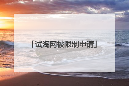 试淘网被限制申请