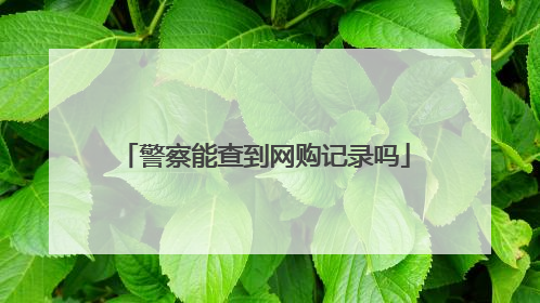 警察能查到网购记录吗