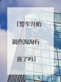 警车开始调查淘淘有喜了吗