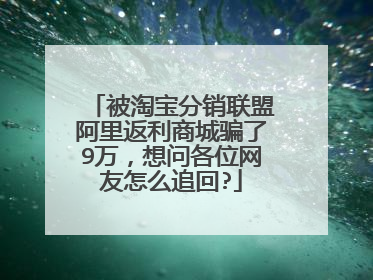 被淘宝分销联盟阿里返利商城骗了9万,想问各位网友怎么追回?