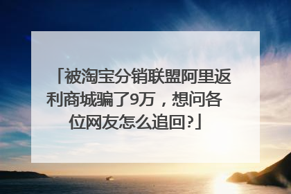 被淘宝分销联盟阿里返利商城骗了9万,想问各位网友怎么追回?