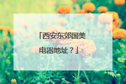 西安东郊国美电器地址?