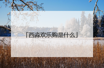 西淼欢乐购是什么